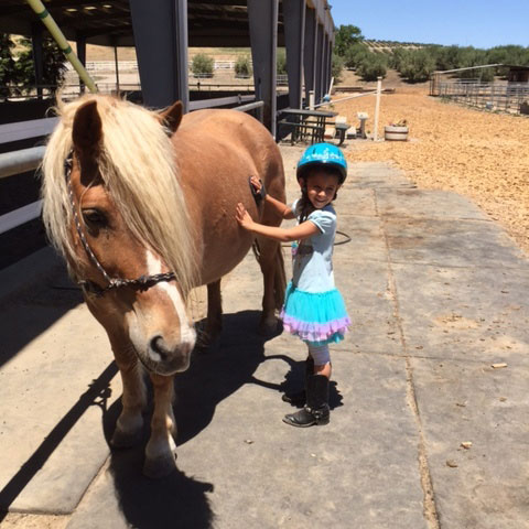 Little Girl and Pony
